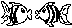 fish.GIF (1126 bytes)