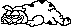 wildcat.gif (262 bytes)
